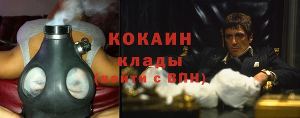 стафф Арсеньев