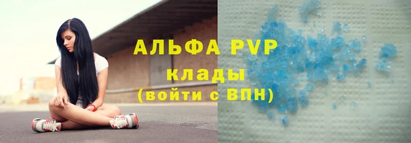 стафф Арсеньев