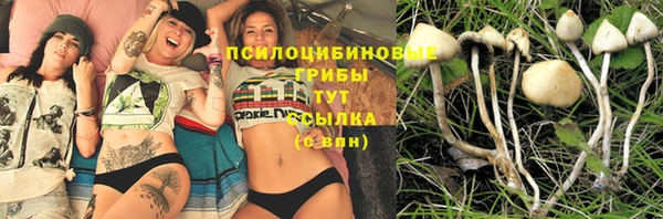 MDMA Аркадак