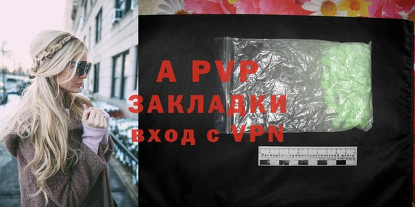 стафф Арсеньев