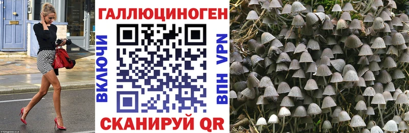Галлюциногенные грибы прущие грибы  Омутнинск 